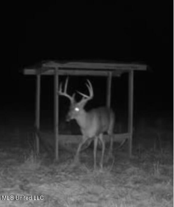 Canton, Mississippi 39046, United States, ,Land,Active,42732