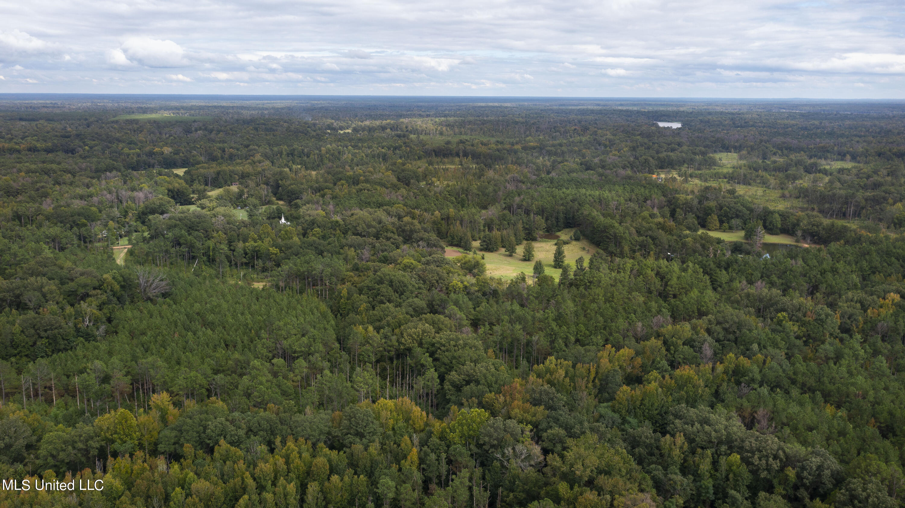 Canton, Mississippi 39046, United States, ,Land,Active,42732