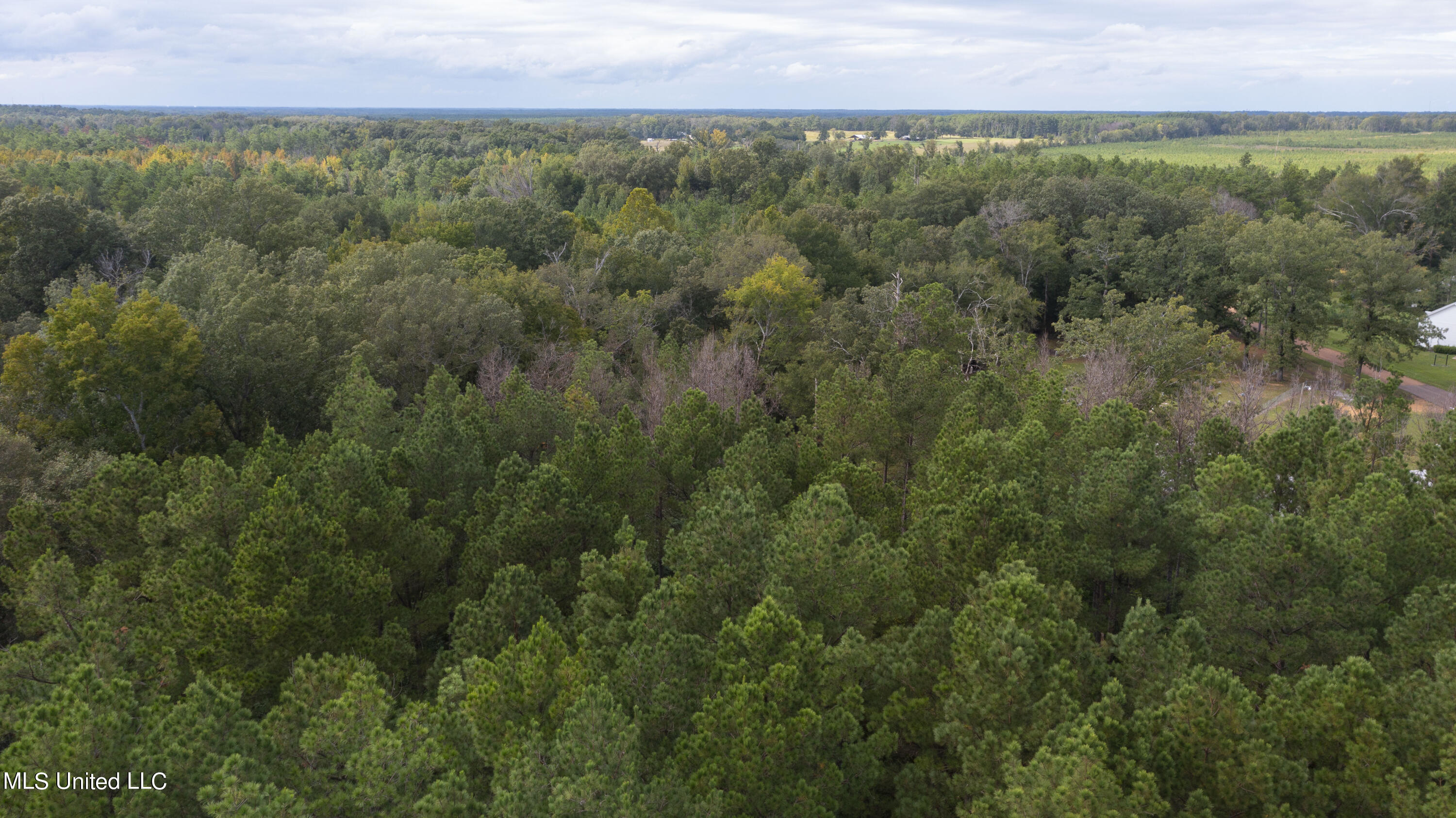 Canton, Mississippi 39046, United States, ,Land,Active,42732