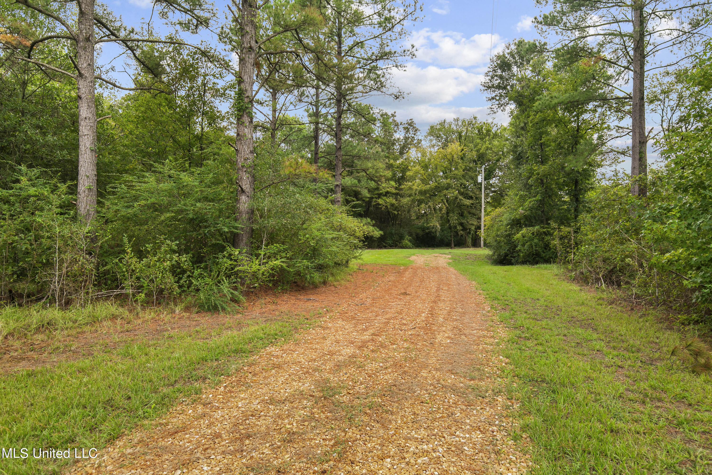 Canton, Mississippi 39046, United States, ,Land,Active,42732