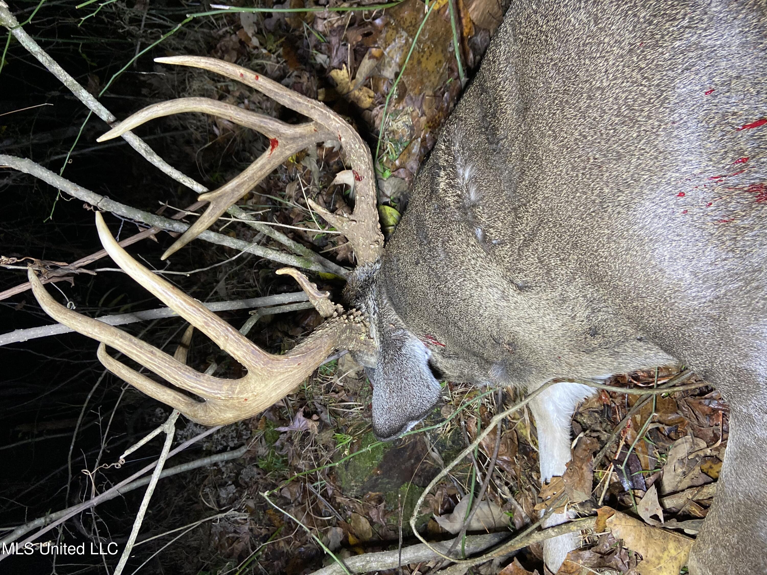 Canton, Mississippi 39046, United States, ,Land,Active,42732