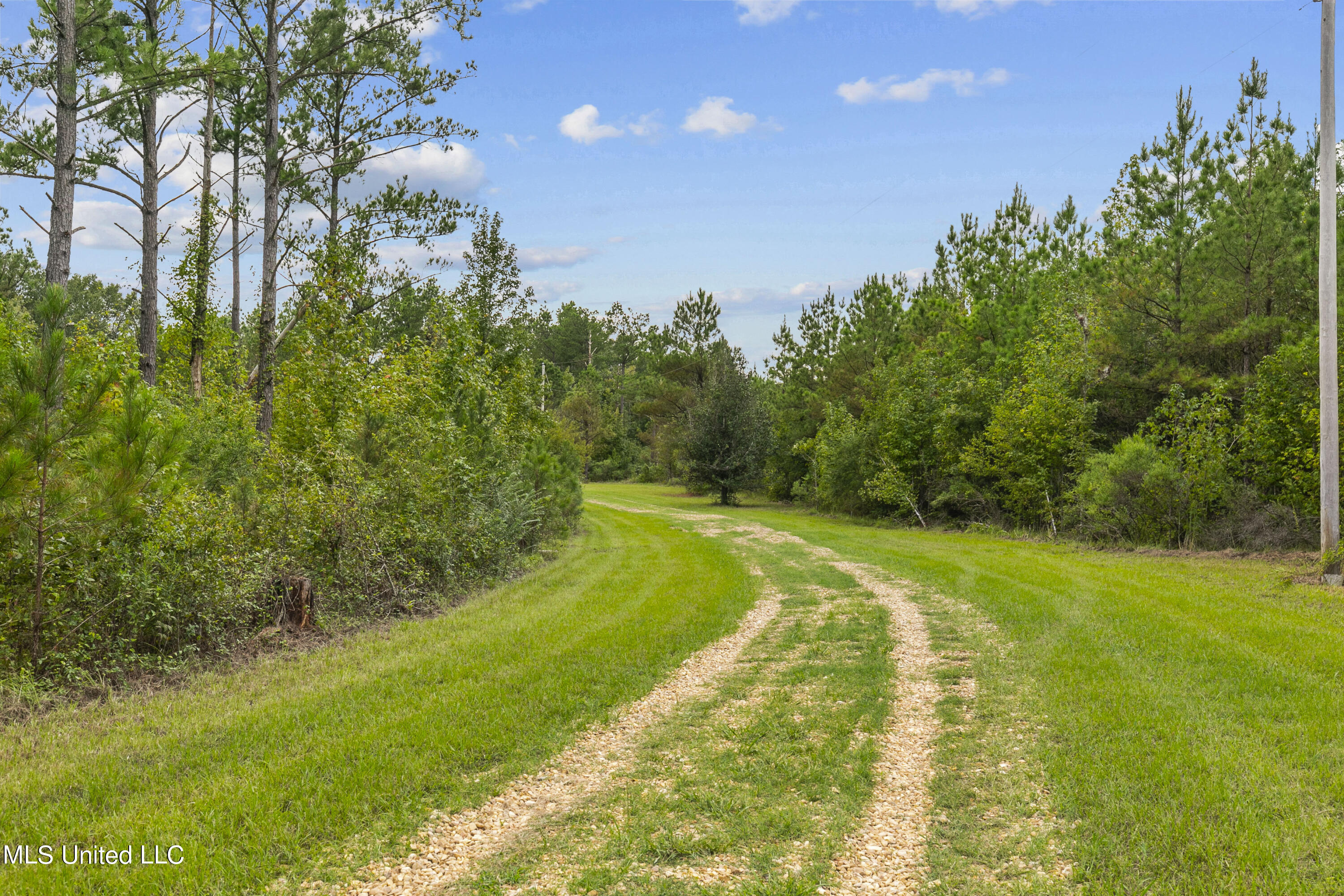 Canton, Mississippi 39046, United States, ,Land,Active,42732