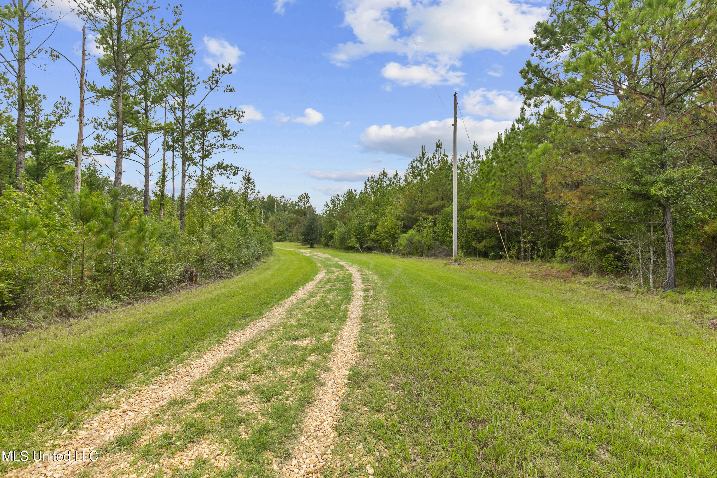 Canton, Mississippi 39046, United States, ,Land,Active,42732