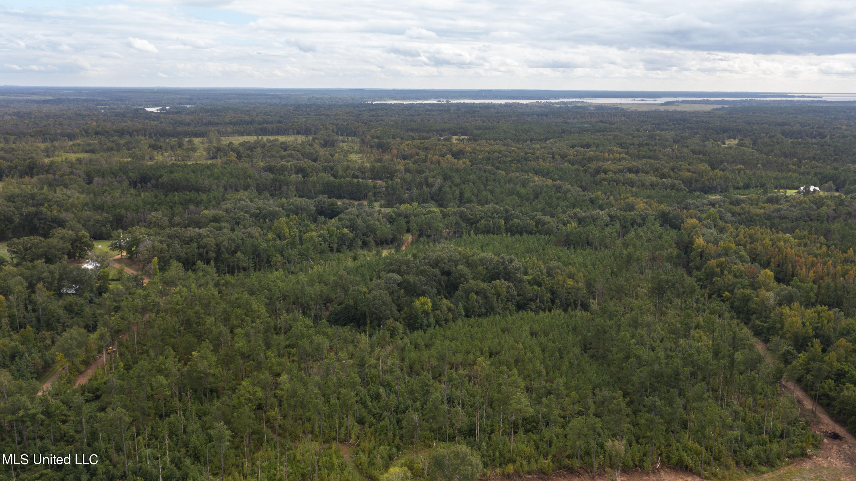 Canton, Mississippi 39046, United States, ,Land,Active,42732