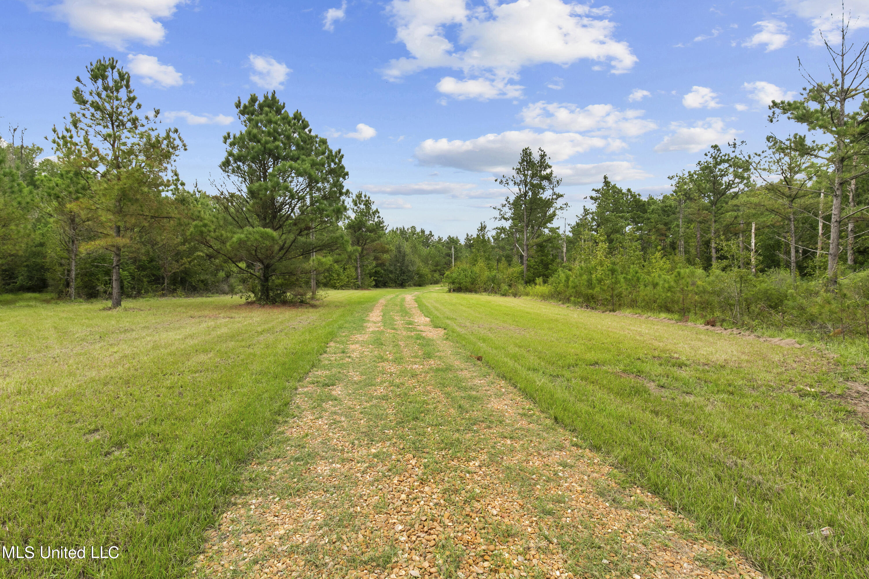 Canton, Mississippi 39046, United States, ,Land,Active,42732