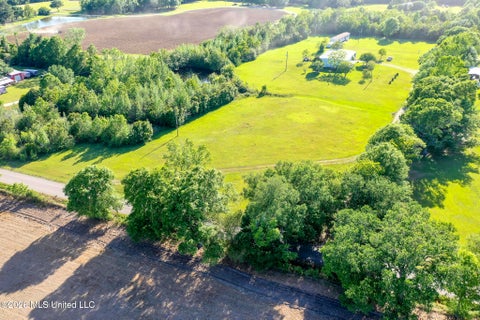 Vacant Land For Sale - 00 Werner Road<br/> Picayune, MS 39466