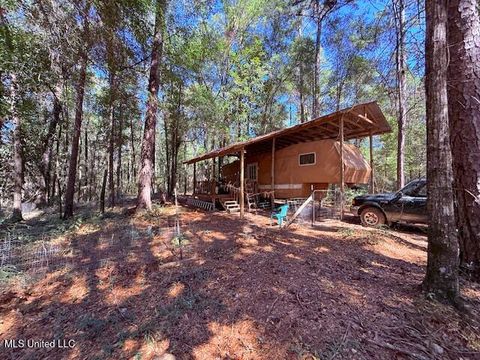 Vacant Land For Sale - 427 Ginntown Road<br/> Tylertown, MS 39667