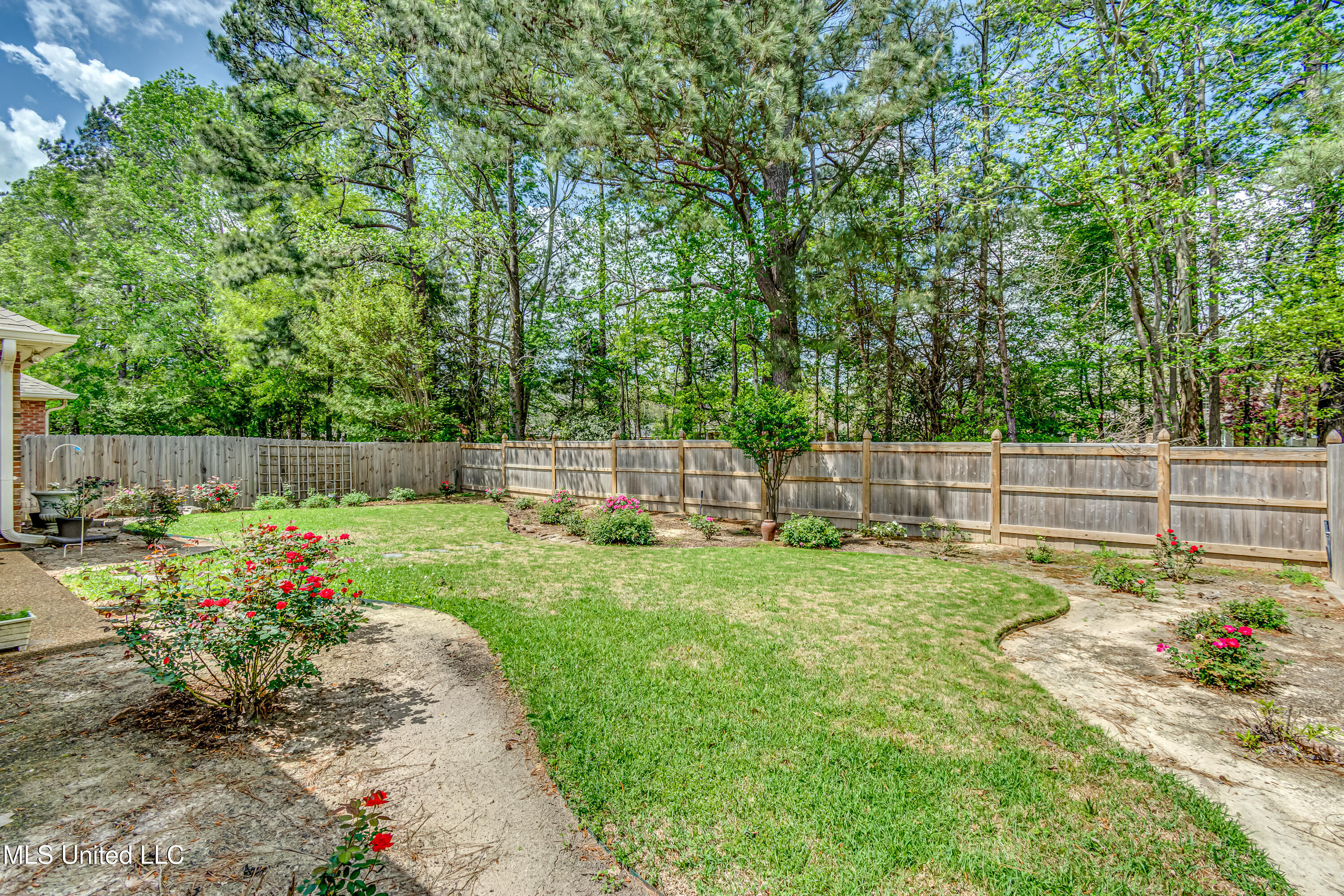 252 Terrace Drive, Brandon, Mississippi image 5