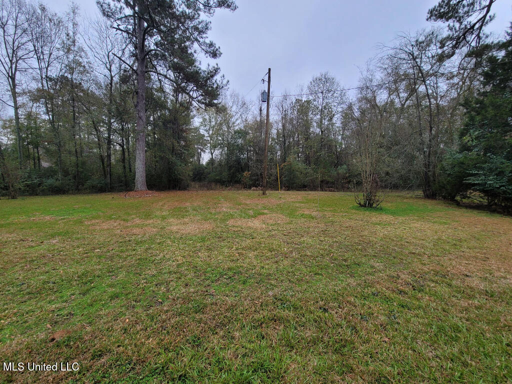 602 Circle Drive, Mendenhall, Mississippi image 21