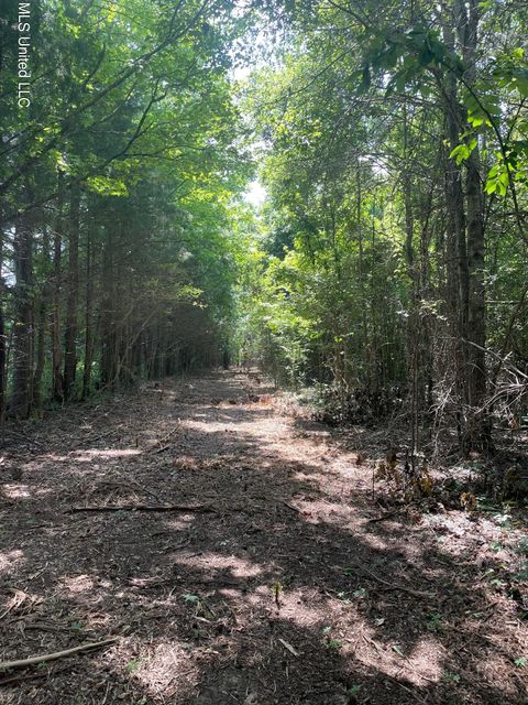 Vacant Land For Sale - Cleo-clark Road<br/> Canton, MS 39046