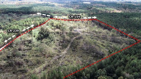 Vacant Land For Sale - 700 County Road 239<br/> Oakland, MS 38948