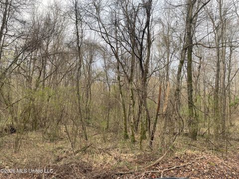 Vacant Land For Sale - Bend Road<br/> Coldwater, MS 38618
