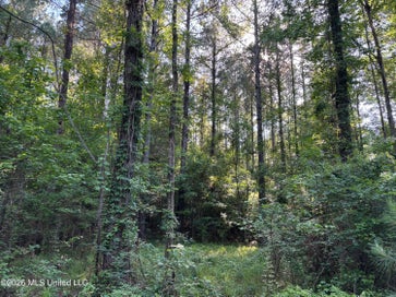 Beach Road Roxie MS 39661