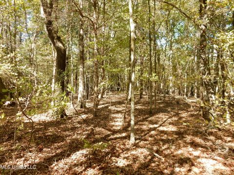Vacant Land For Sale - LOT 2 N Crockett Road<br/> Senatobia, MS 38668