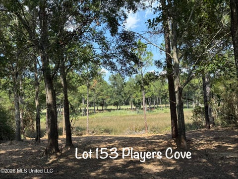 Vacant Land For Sale - LOT 153 Players Cove<br/> Gautier, MS 39553