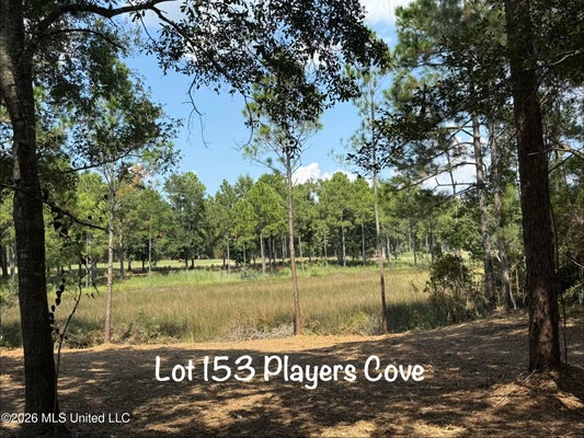 PLAYERS CV, GAUTIER, MS 39553 - Image dfdd7cd1f2f5cf8198095e91c358026a/2736819447