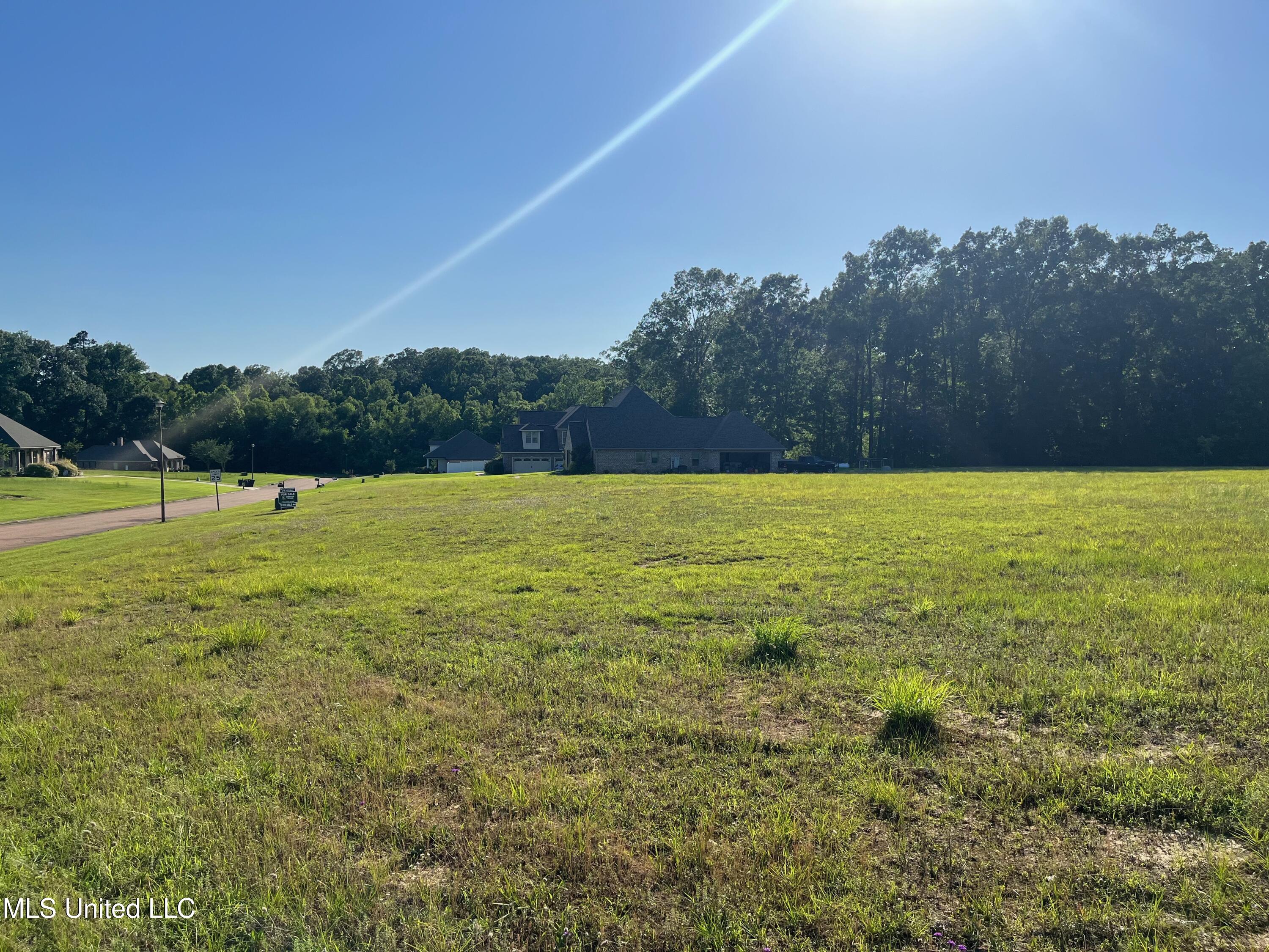 Lot 49 Tara Drive, Natchez, Mississippi image 3