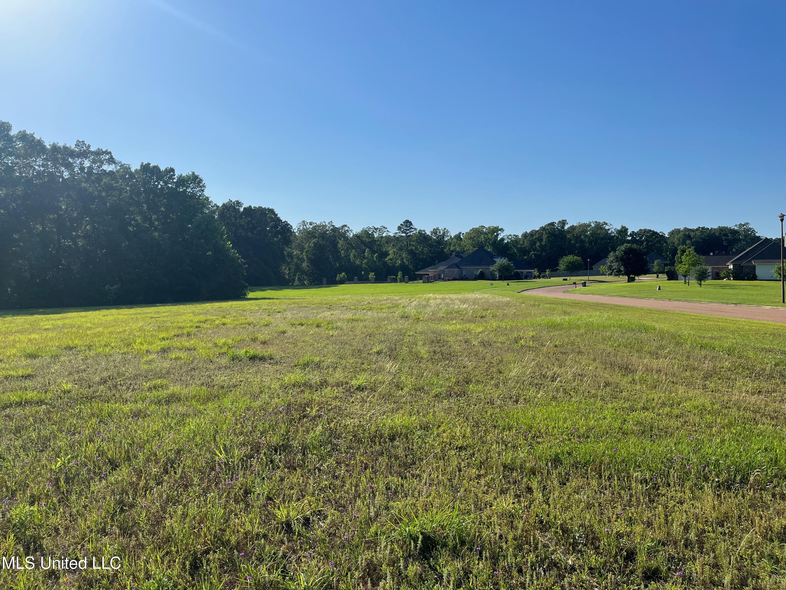 Lot 49 Tara Drive, Natchez, Mississippi image 5