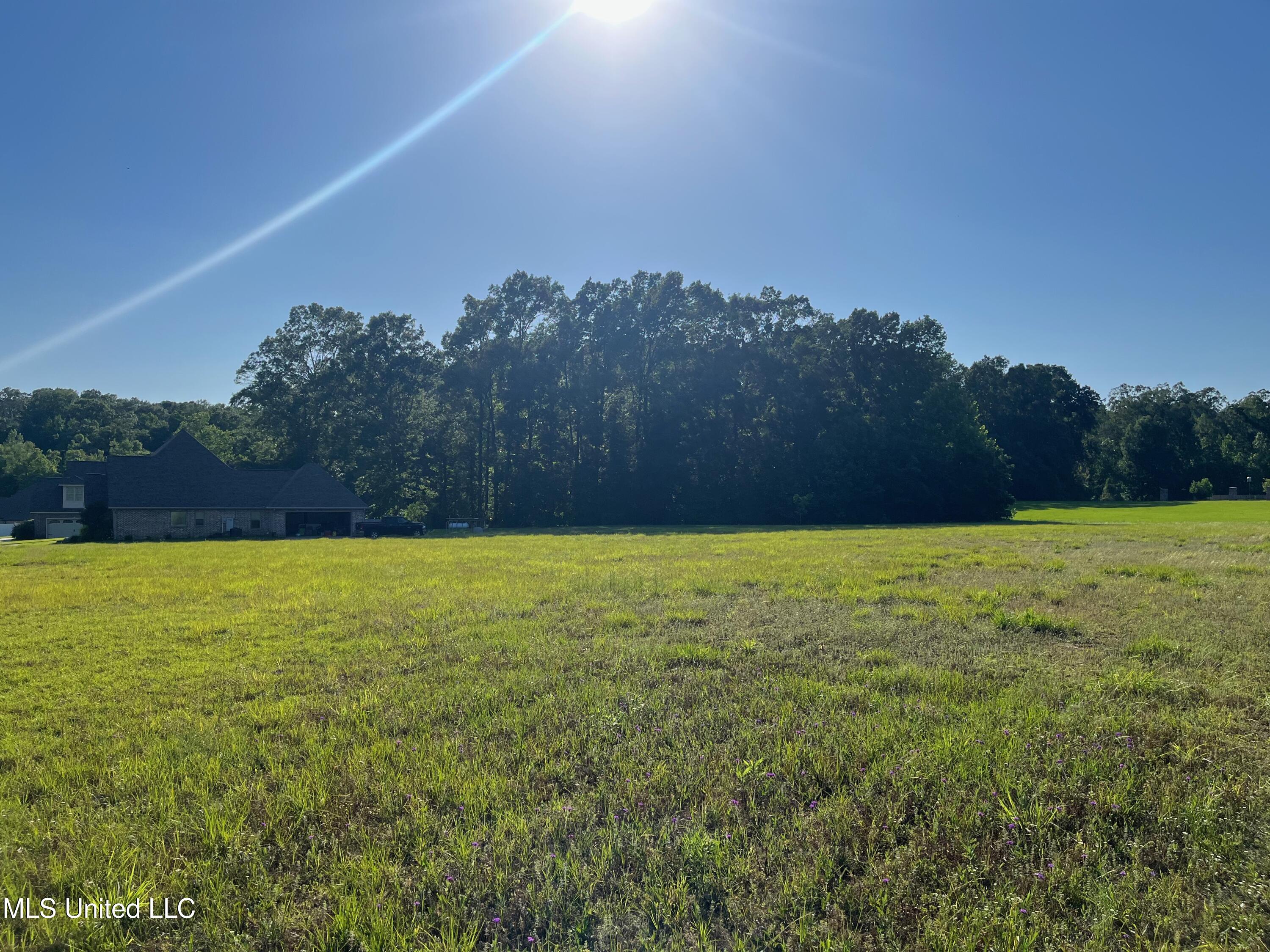 Lot 49 Tara Drive, Natchez, Mississippi image 6