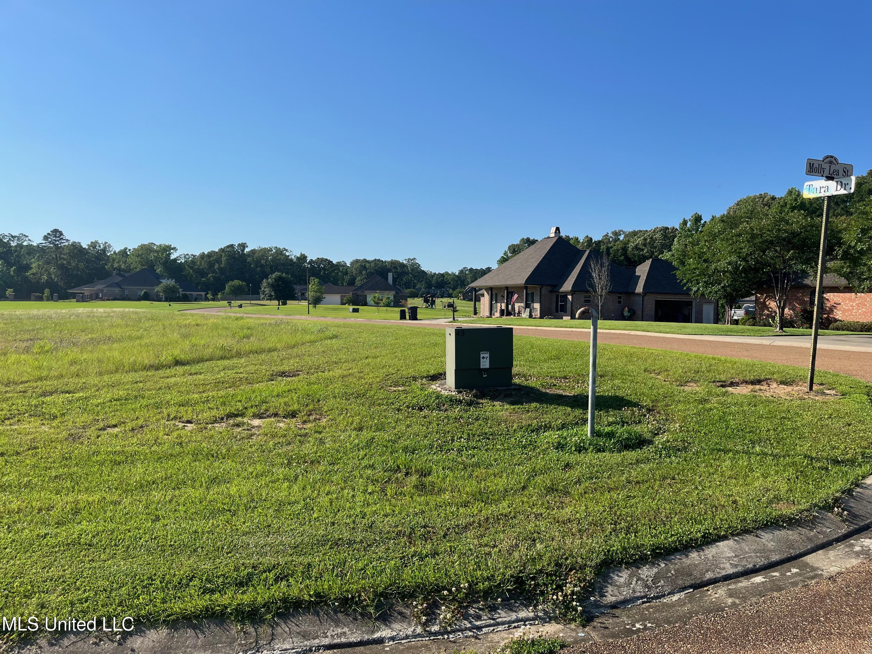 Lot 49 Tara Drive, Natchez, Mississippi image 2