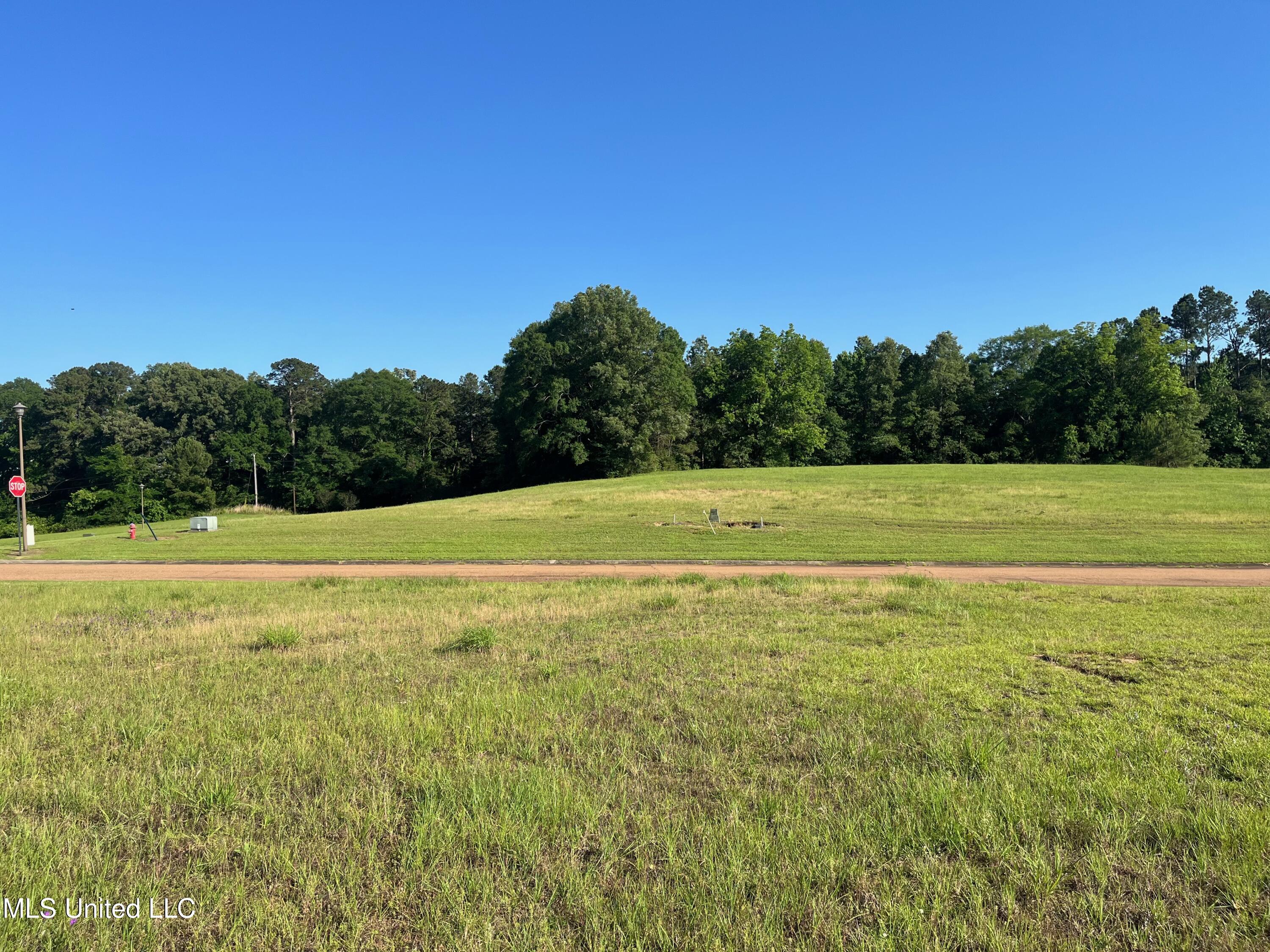 Lot 49 Tara Drive, Natchez, Mississippi image 7