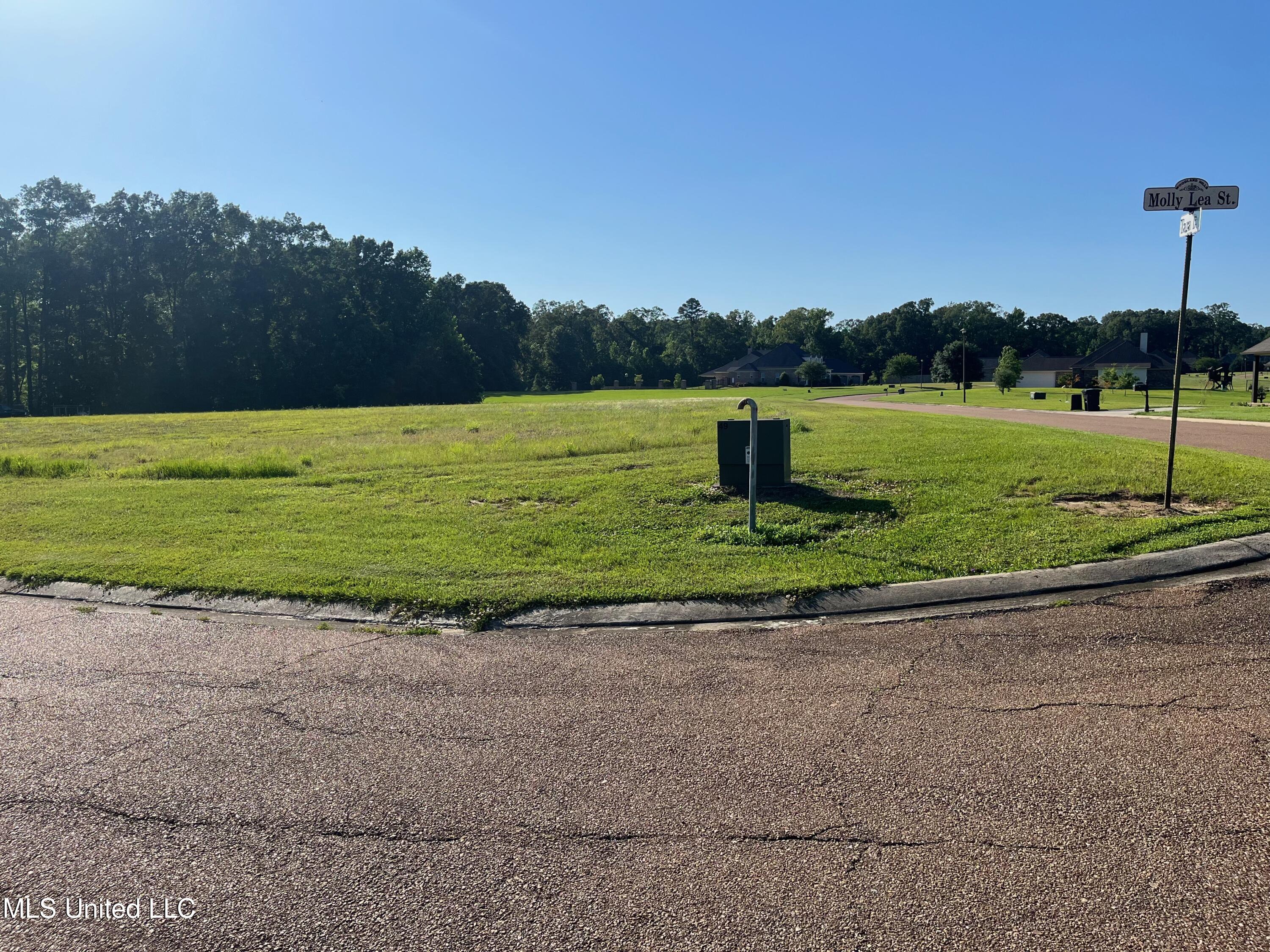 Lot 49 Tara Drive, Natchez, Mississippi image 1