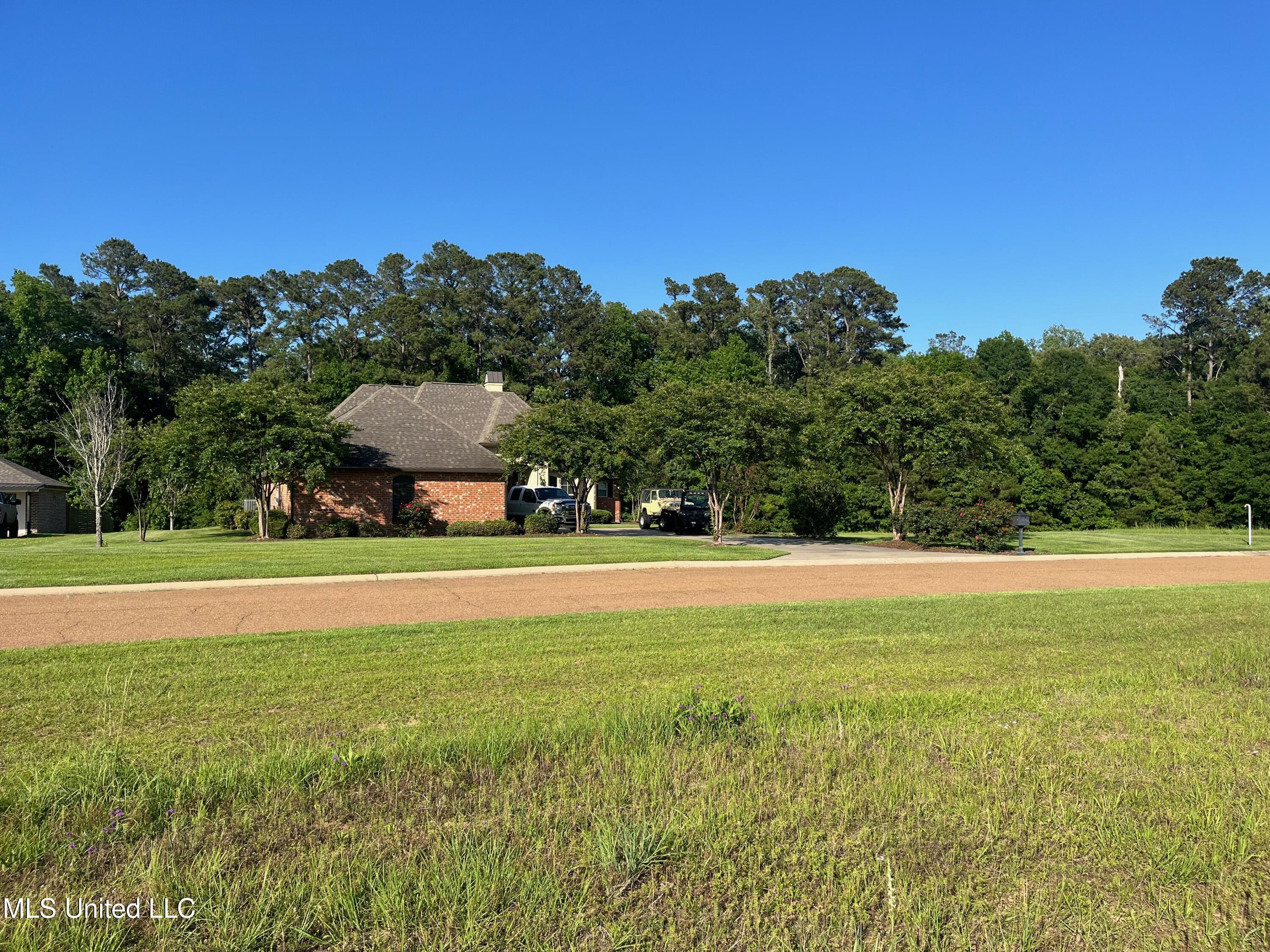 Lot 49 Tara Drive, Natchez, Mississippi image 4
