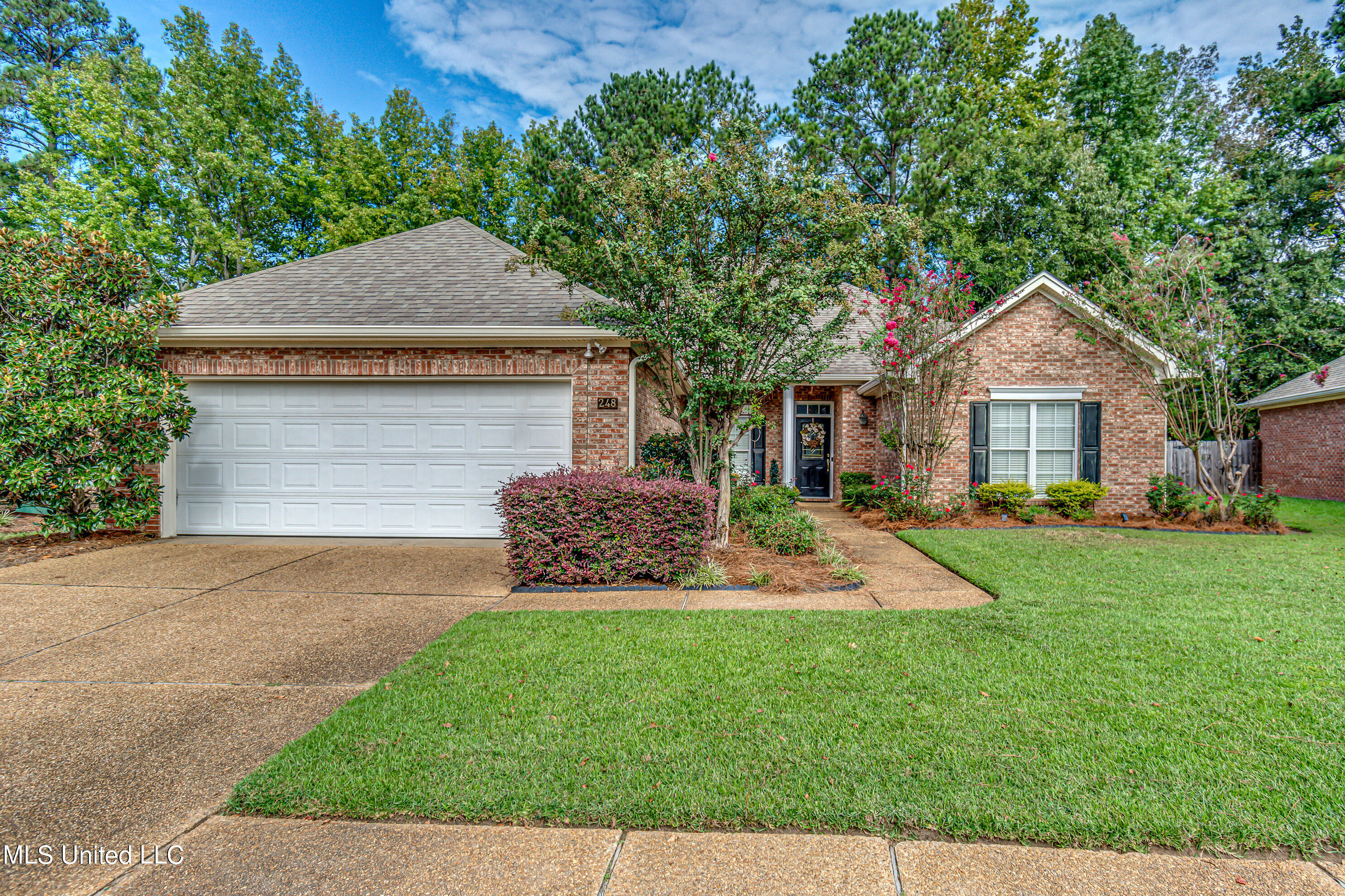 248 Terrace Drive, Brandon, Mississippi image 2