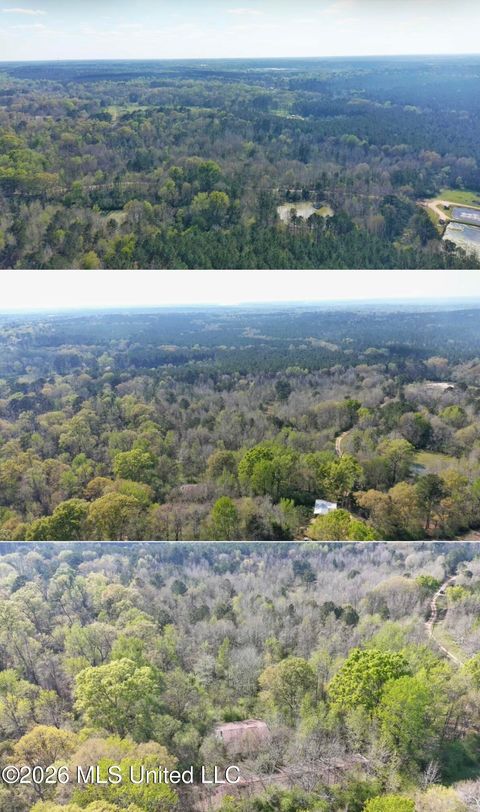 Vacant Land For Sale - Wells Street<br/> Wesson, MS 39191