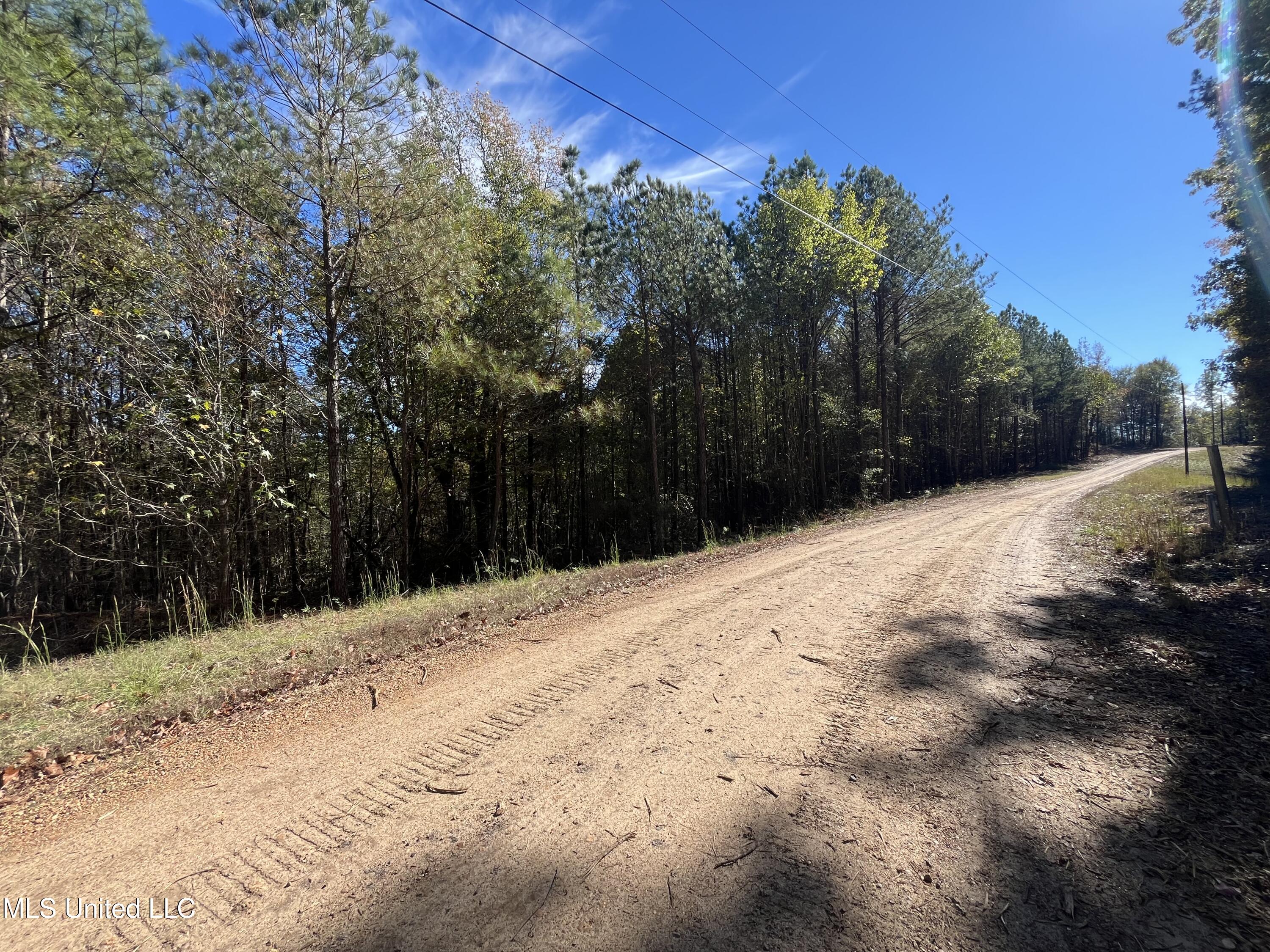 Carver Point Road, Coffeeville, Mississippi image 26