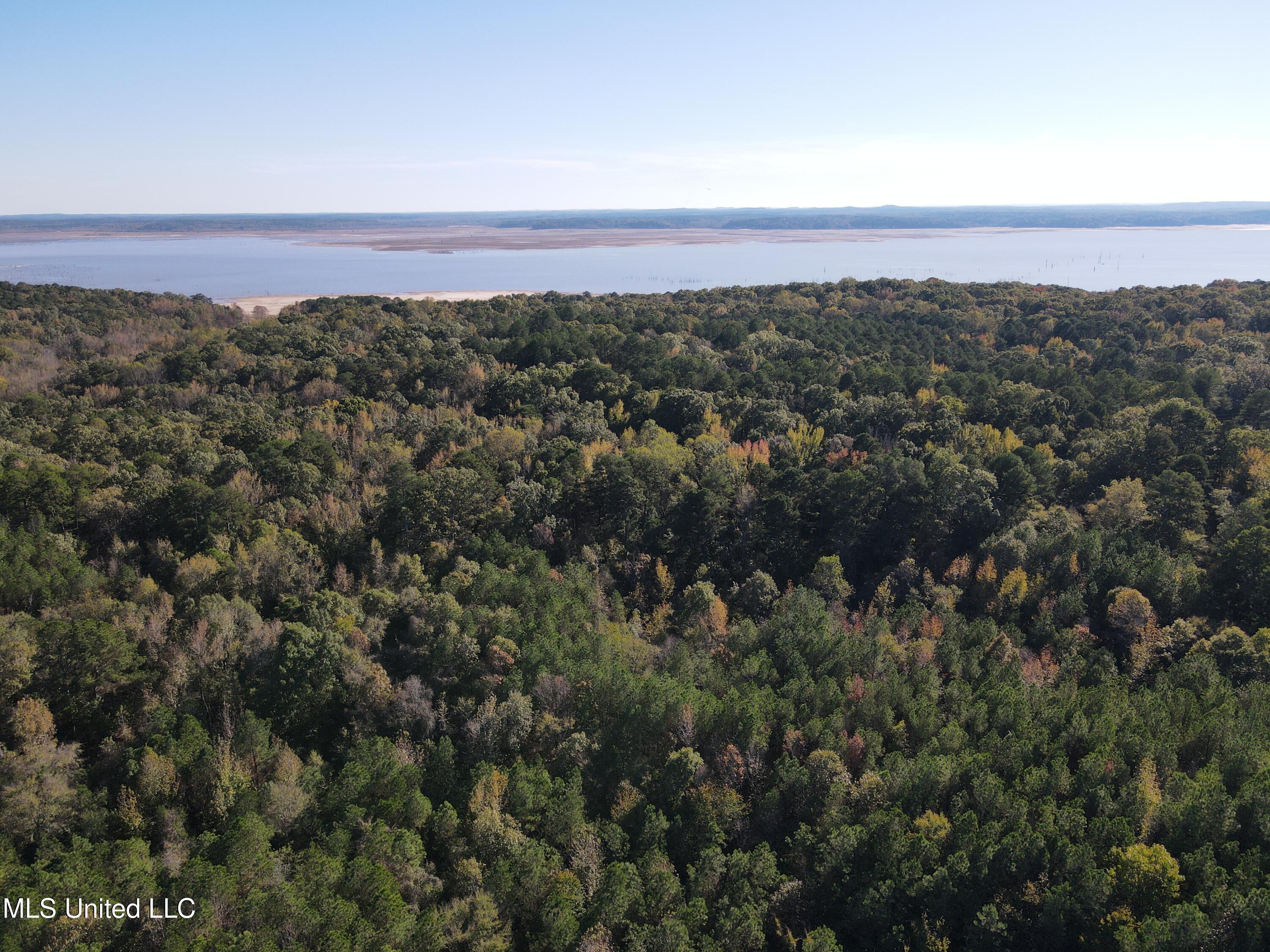 Carver Point Road, Coffeeville, Mississippi image 2