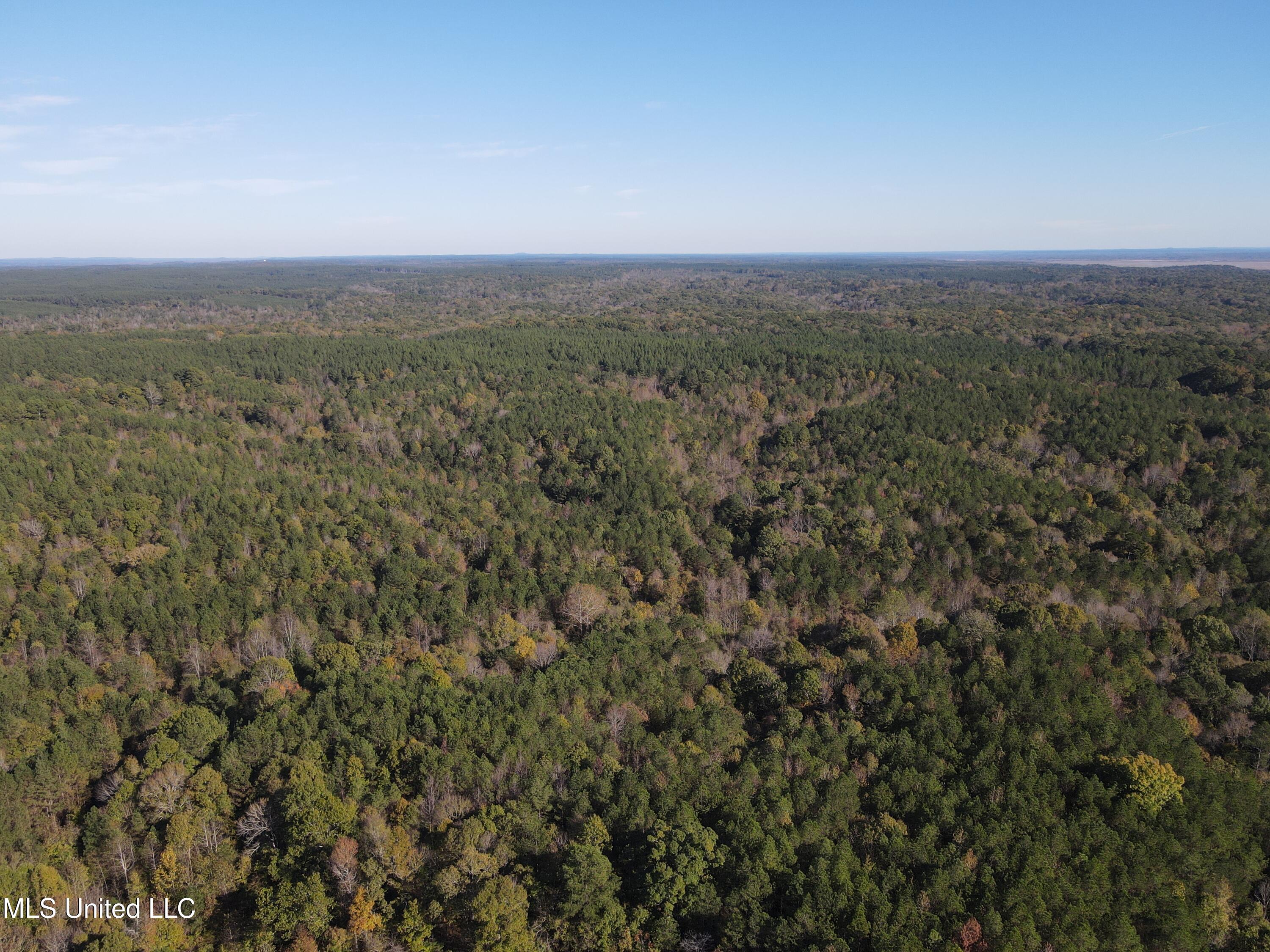 Carver Point Road, Coffeeville, Mississippi image 17