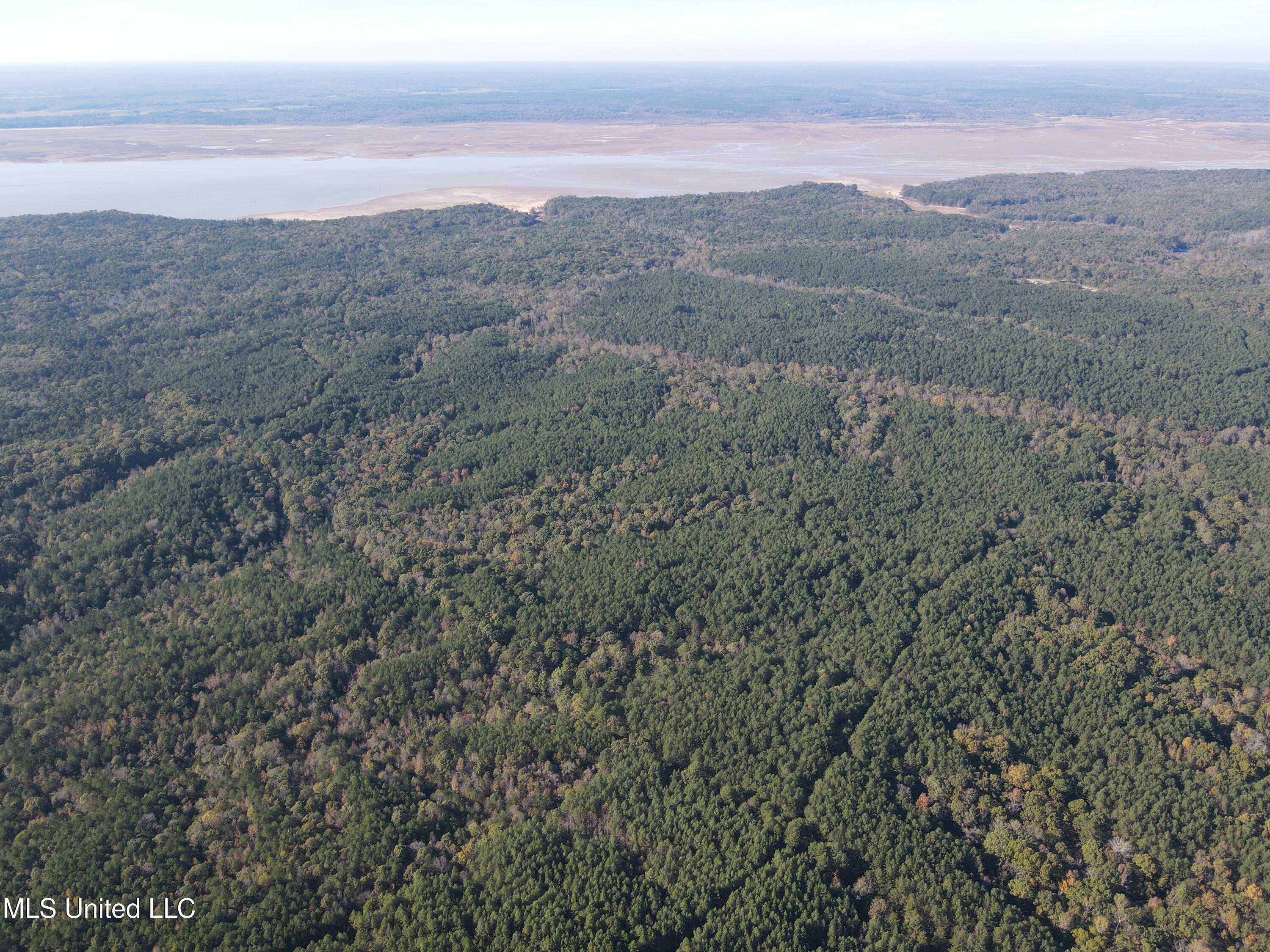 Carver Point Road, Coffeeville, Mississippi image 15