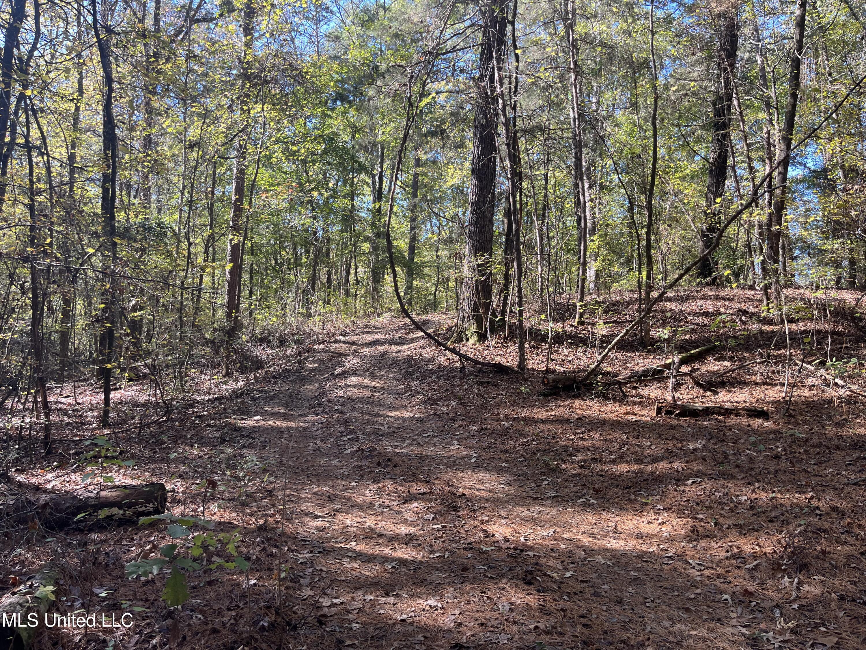 Carver Point Road, Coffeeville, Mississippi image 40