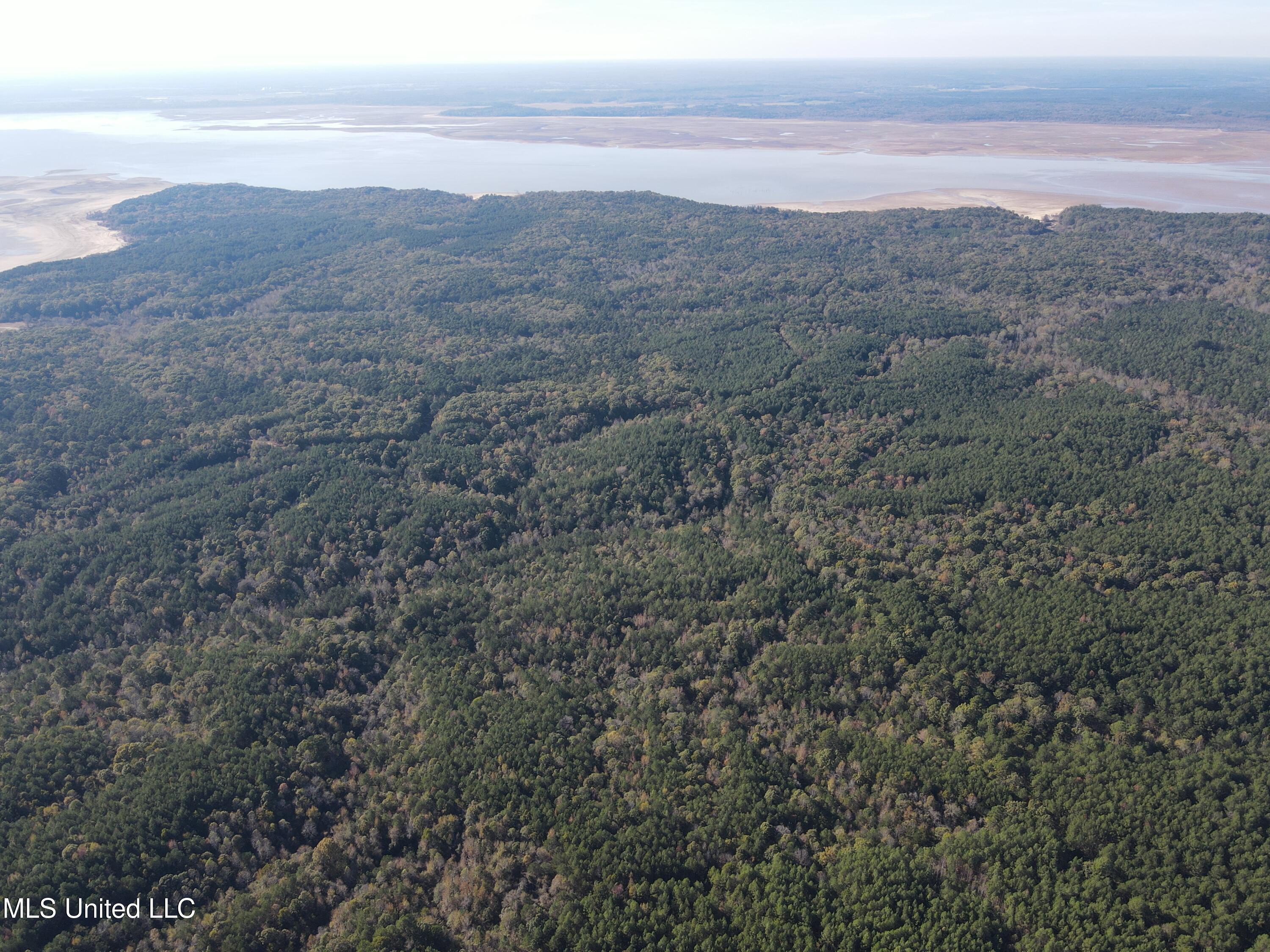 Carver Point Road, Coffeeville, Mississippi image 14