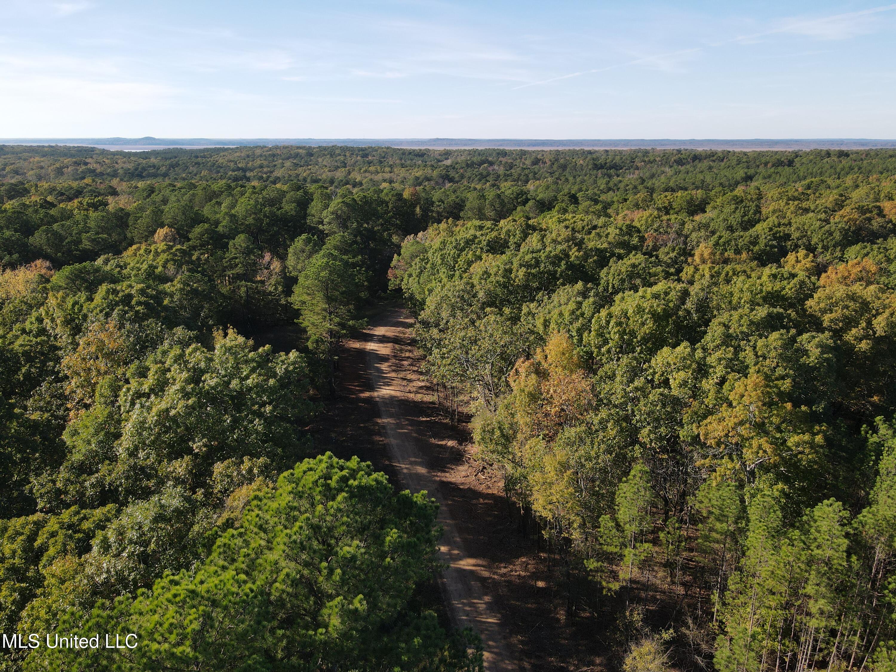 Carver Point Road, Coffeeville, Mississippi image 3