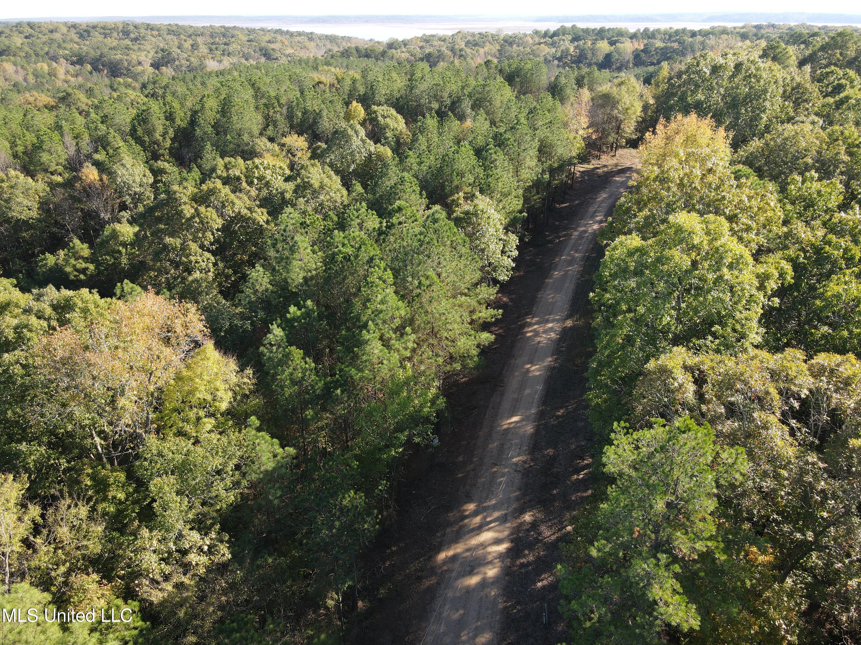 Carver Point Road, Coffeeville, Mississippi image 5