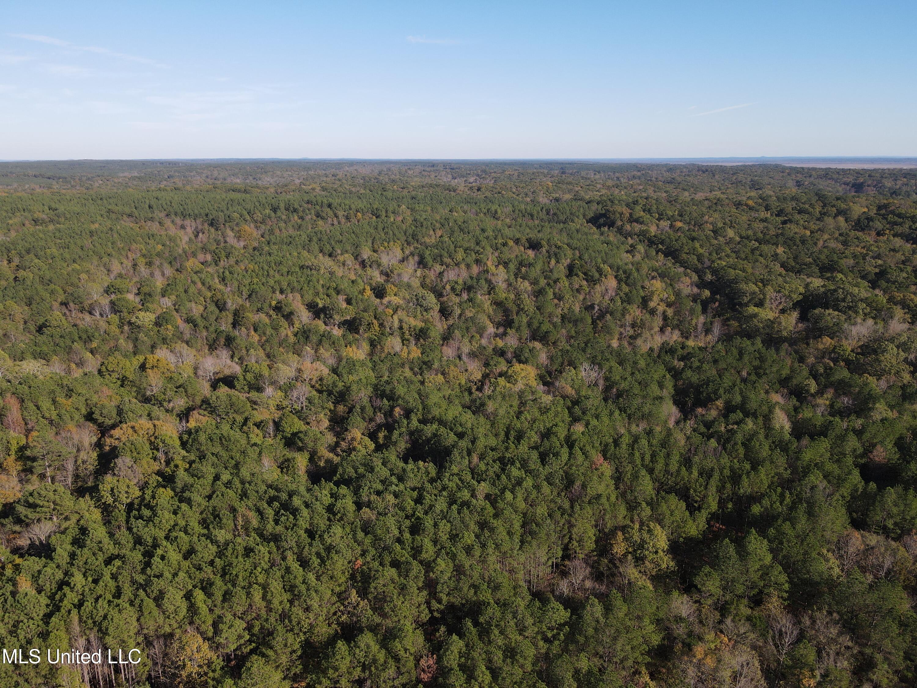 Carver Point Road, Coffeeville, Mississippi image 4