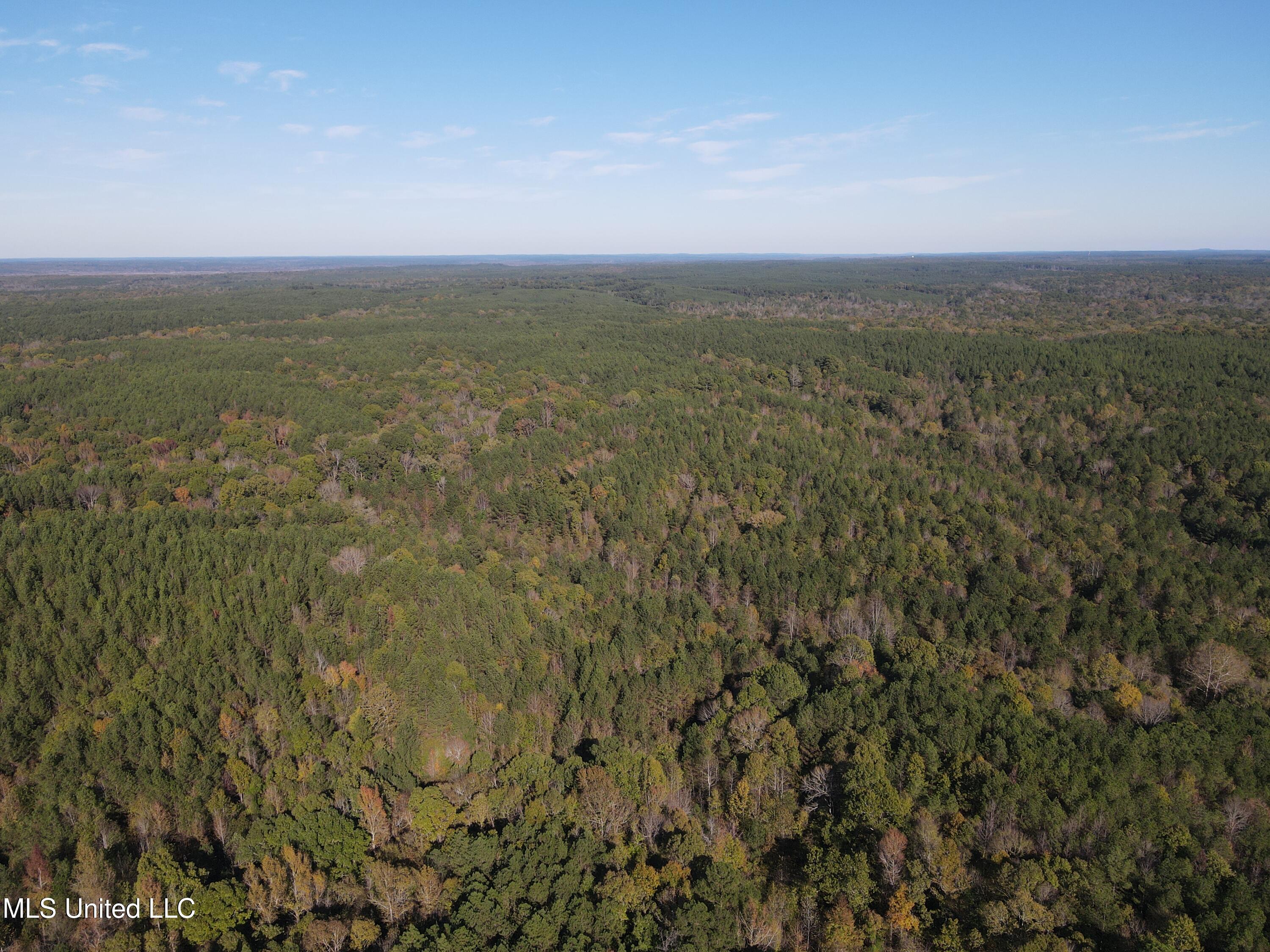 Carver Point Road, Coffeeville, Mississippi image 19