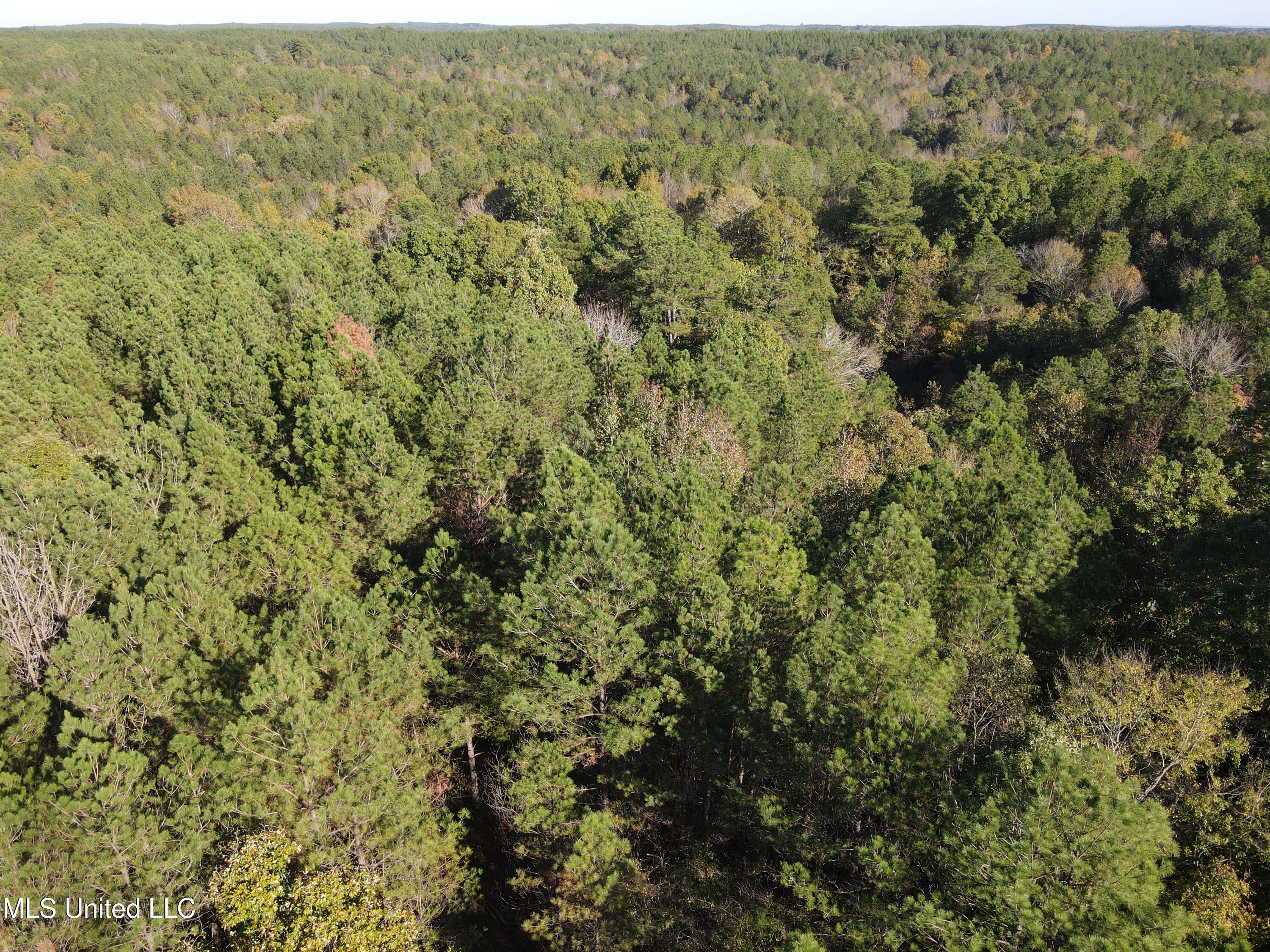 Carver Point Road, Coffeeville, Mississippi image 7