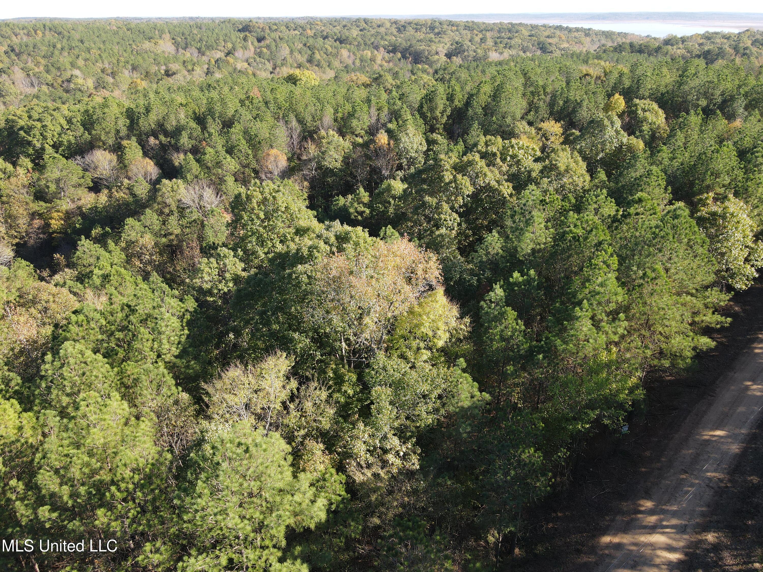 Carver Point Road, Coffeeville, Mississippi image 8