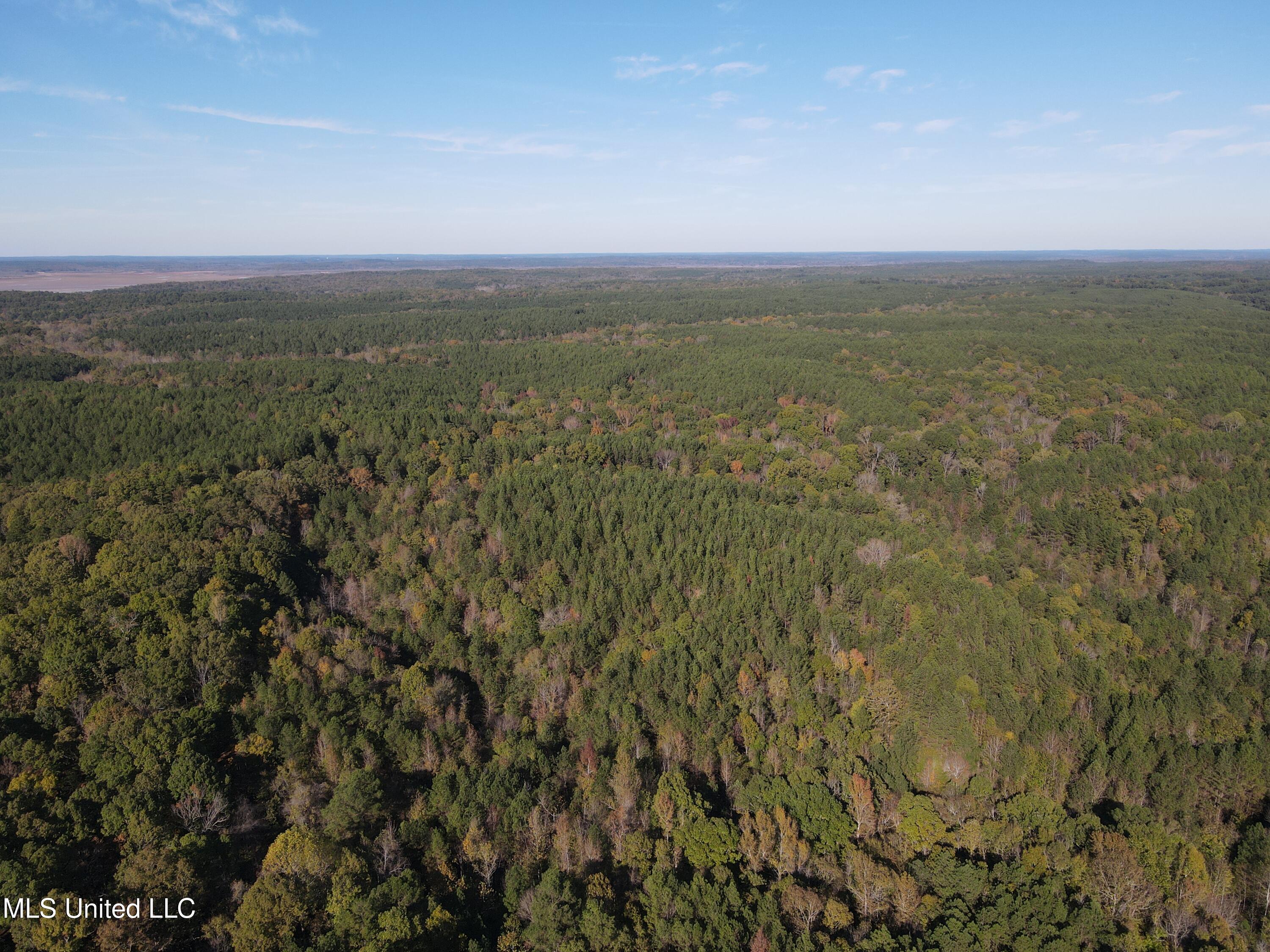 Carver Point Road, Coffeeville, Mississippi image 18