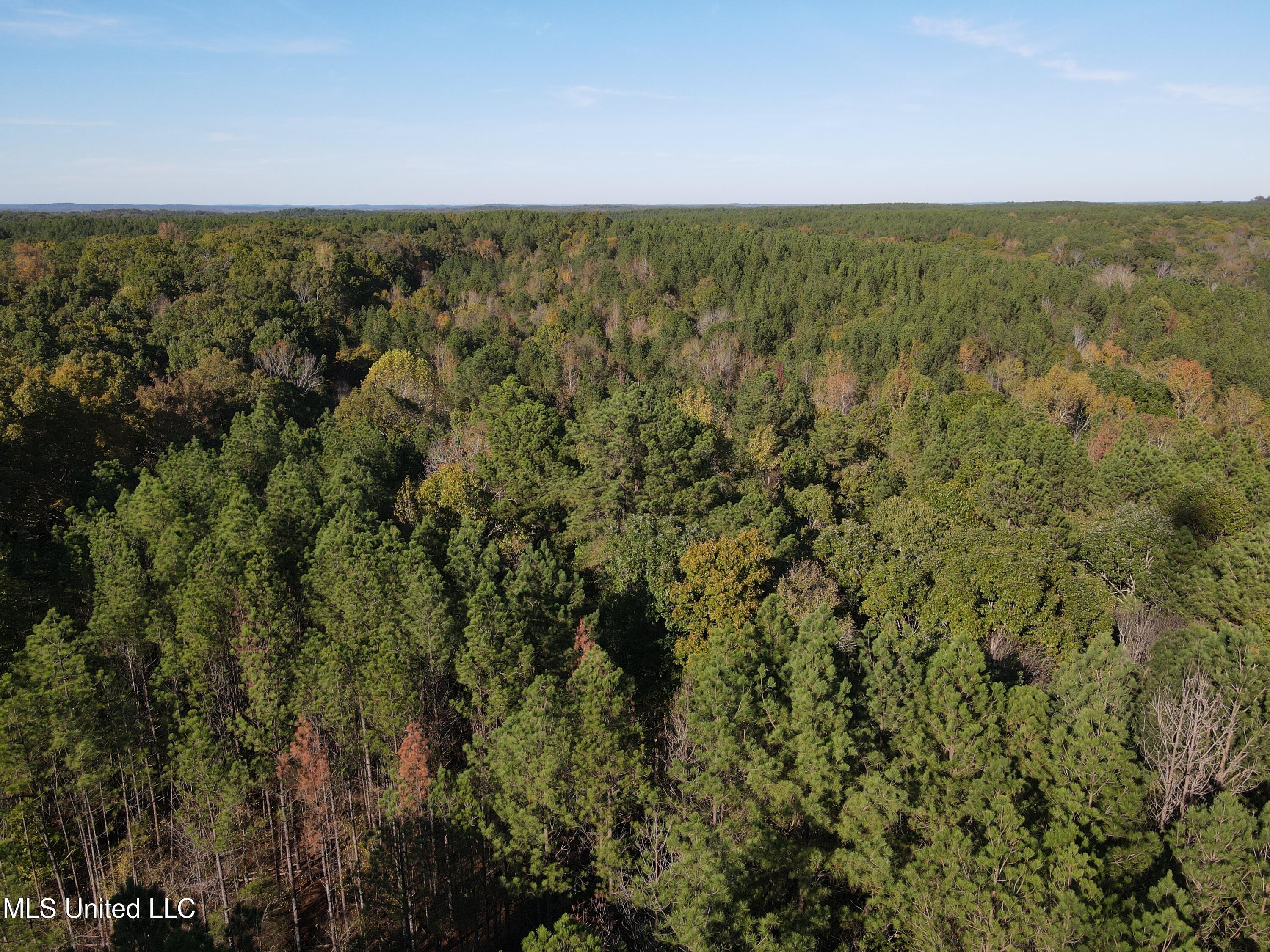 Carver Point Road, Coffeeville, Mississippi image 6