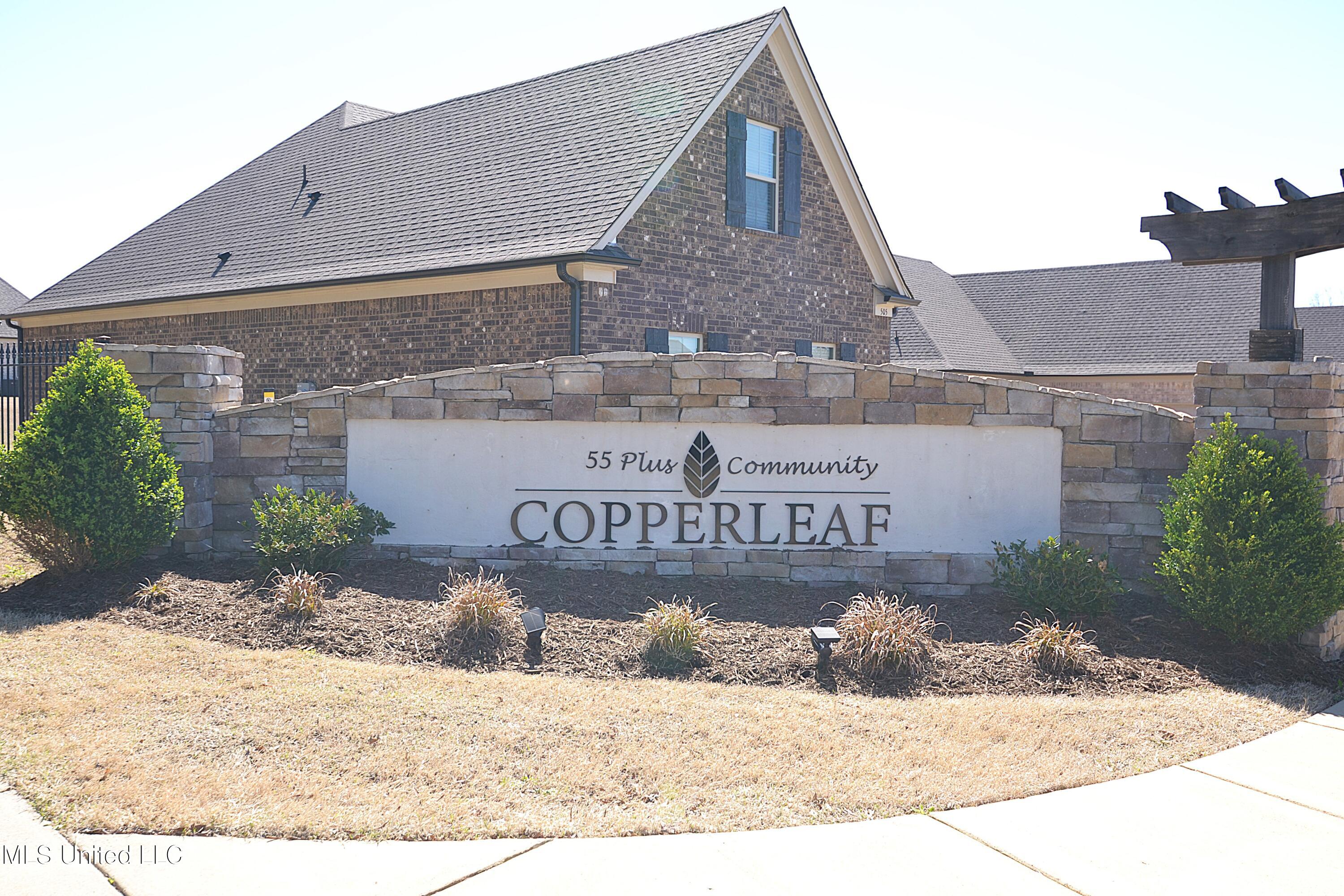 657 Beckett Cove, Hernando, Mississippi image 19