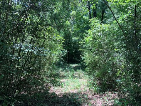 Vacant Land For Sale - Hwy 48<br/> Walthall County, Sandy Hook, MS 39667