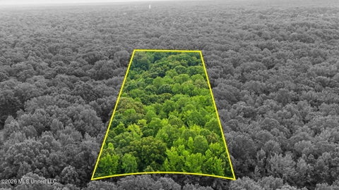 Vacant Land For Sale - Tanyard Road<br/> Hernando, MS 38632