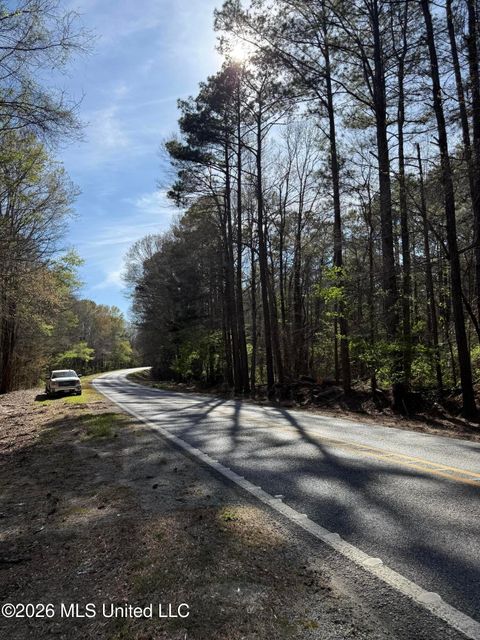 Vacant Land For Sale - Ms-13<br/> Scott County, Lena, MS 39094