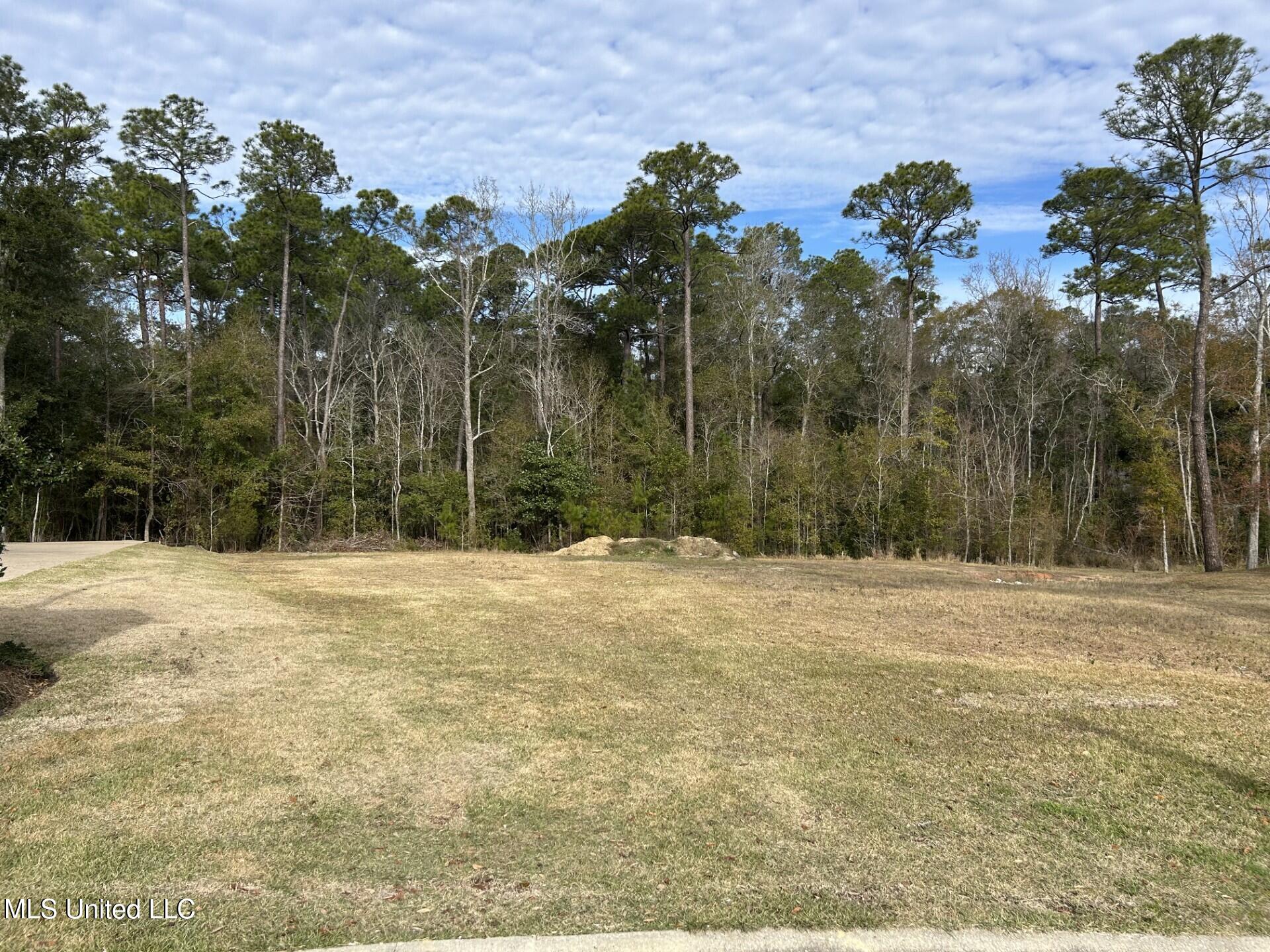 Caymus Cove, Ocean Springs, Mississippi image 1