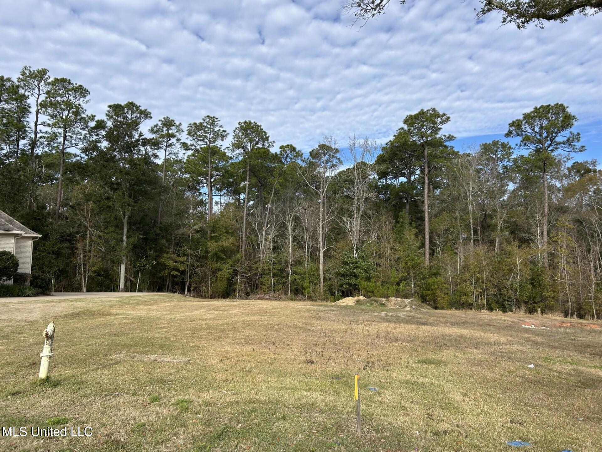 Caymus Cove, Ocean Springs, Mississippi image 2