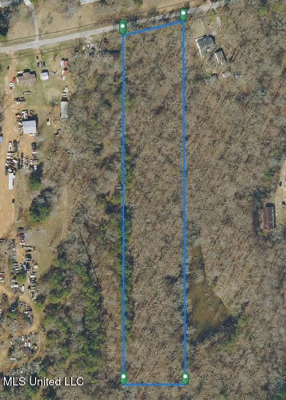 5.5 Acres On Coke Road, Byhalia, Mississippi image 6